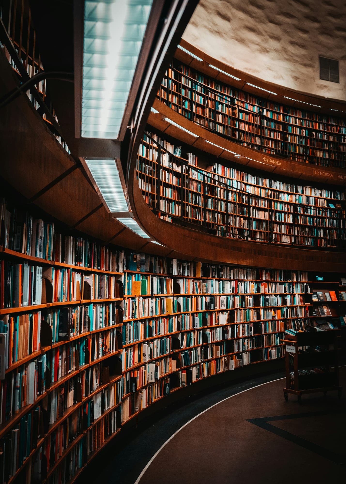 Her bookshelves, where she spent her mornings with a coffee and a novel.